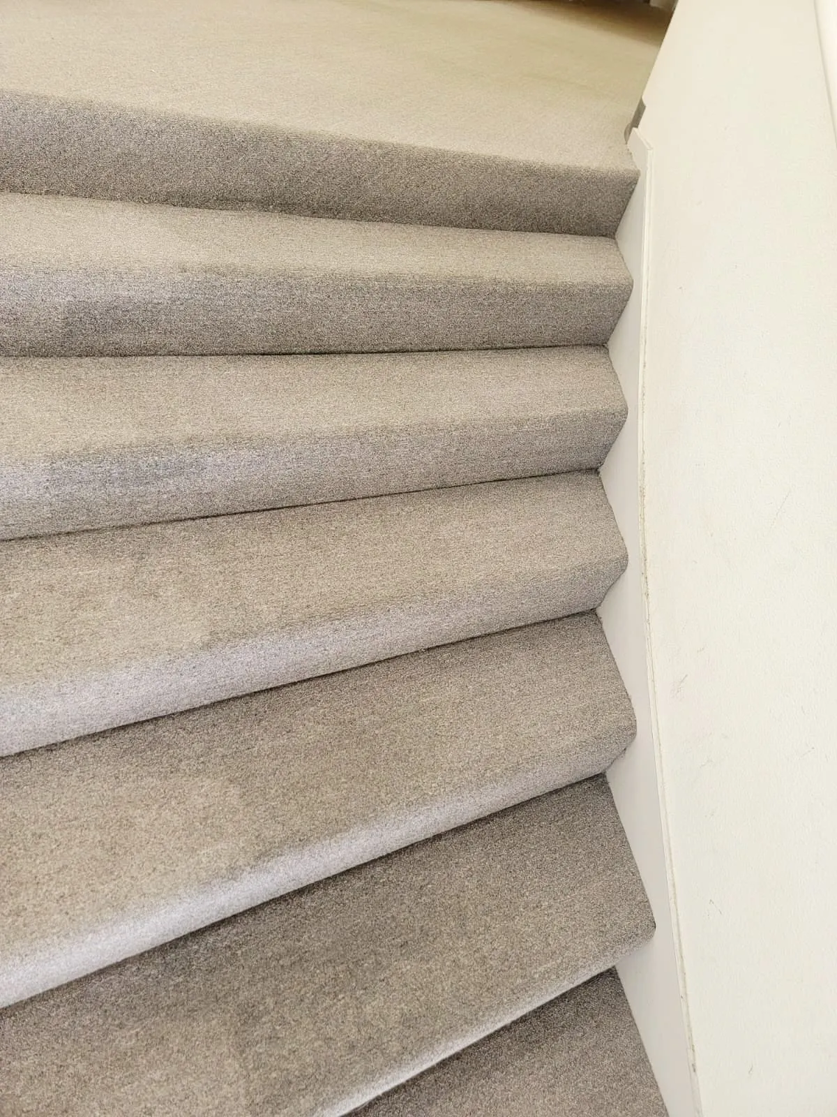 Carpet stairs after professional stain removal and steam cleaning in Campbelltown