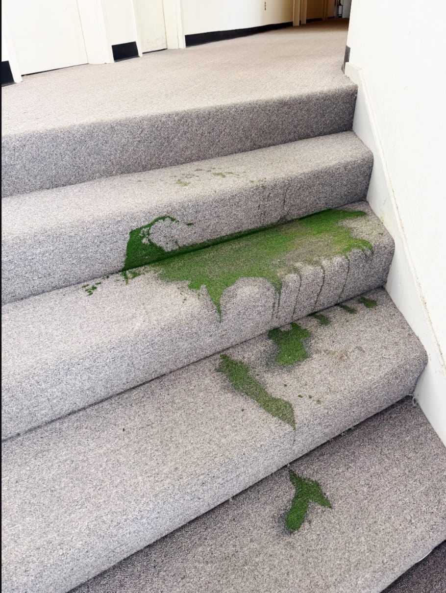 Carpet stairs with stains before professional cleaning in Campbelltown