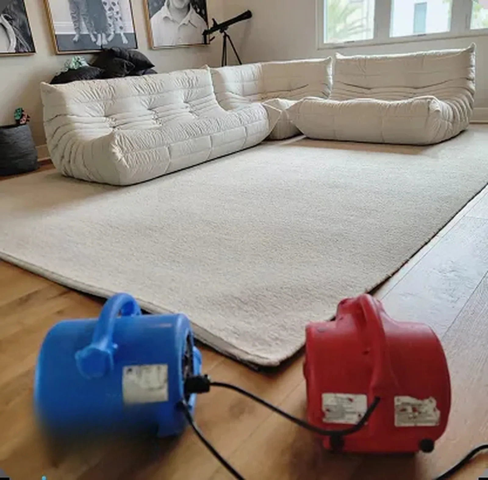 Upholstery and sofa cleaning service